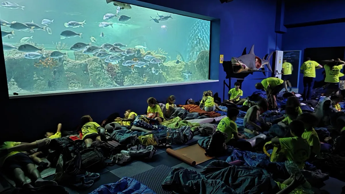 Medio centenar de jóvenes duerme entre tiburones en el Acuario de Almuñécar - Vida y Cultura - Diario Costa Tropical