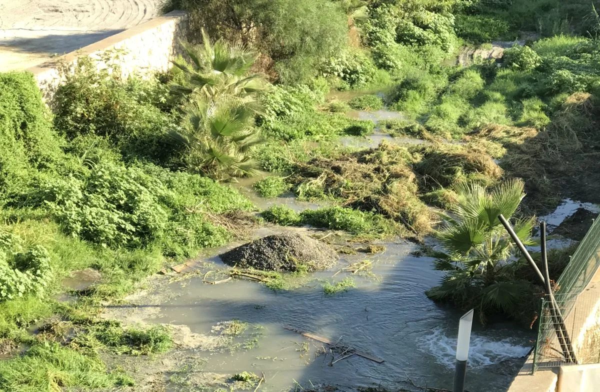 El PSOE exige a Ruiz Joya y a la Diputación que cesen los vertidos de agua en Río Verde - Actualidad - Diario Costa Tropical