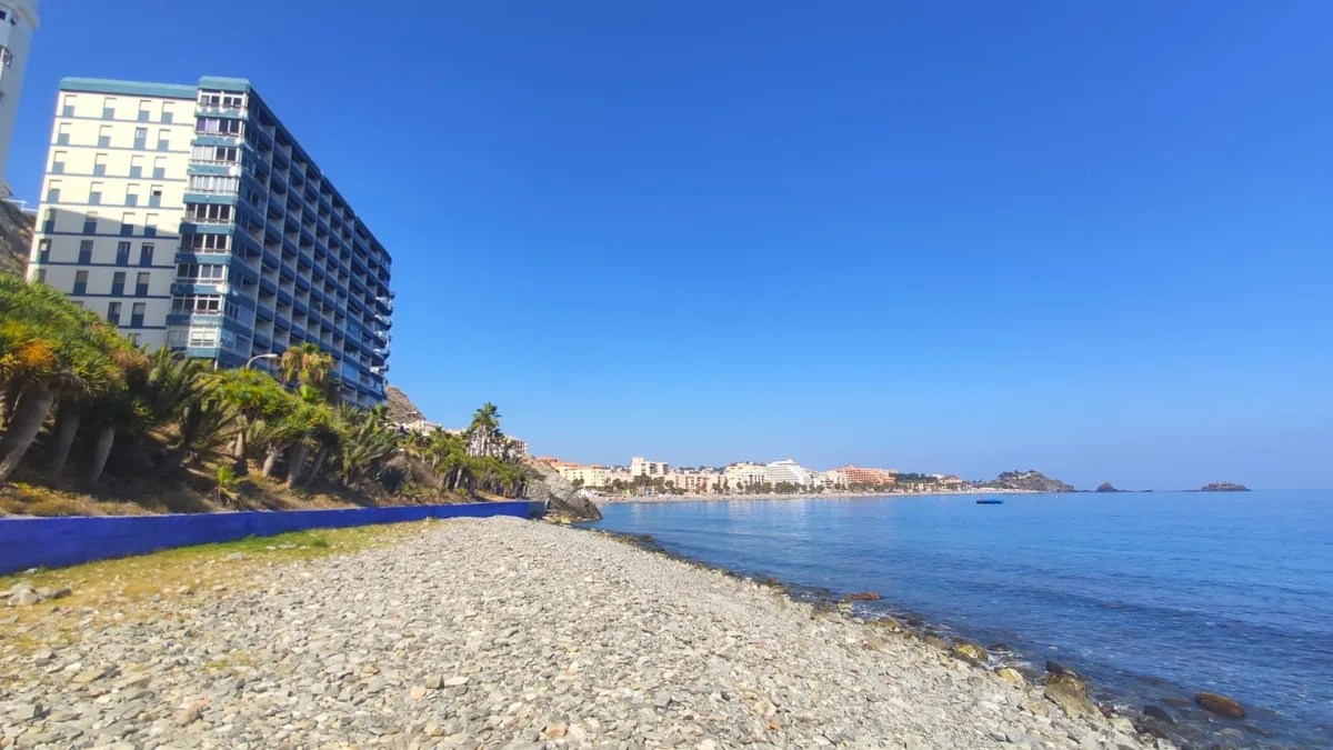 Almuñécar acuerda impulsar la mejora o reubicación de la playa canina mediante una mesa de trabajo - Actualidad - Diario Costa Tropical