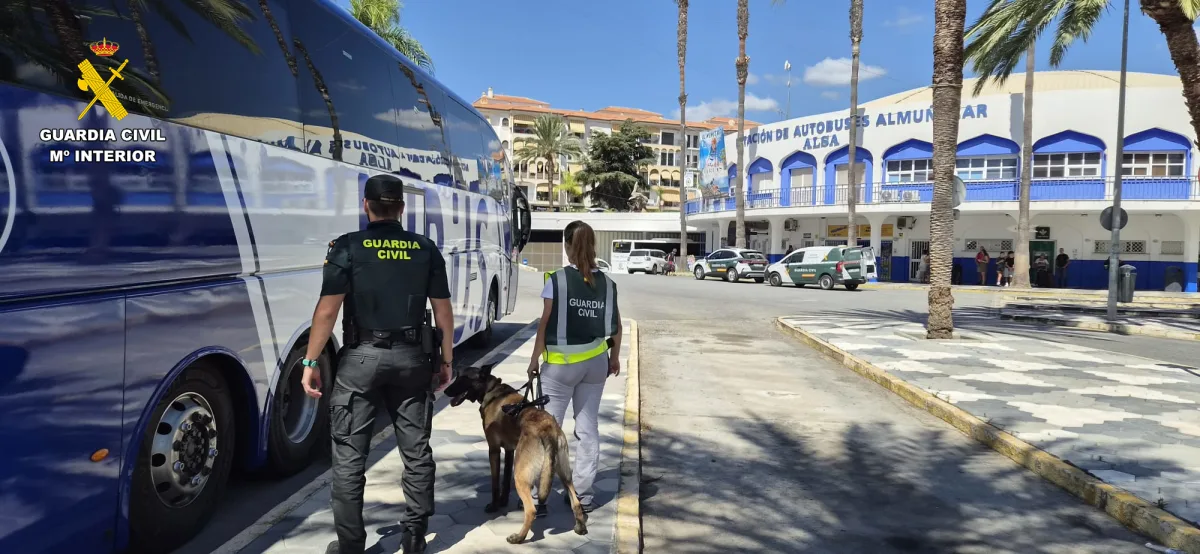 Detienen a una mujer con 626 gramos de hachís en autobús de Almuñécar - Diario Costa Tropical