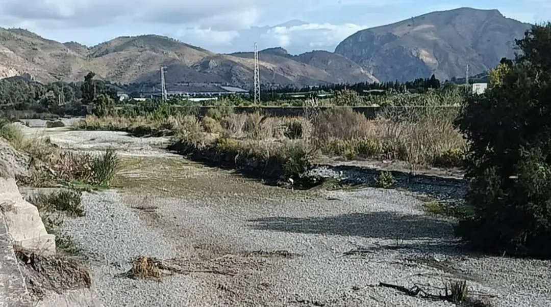 Salobreña exige medidas urgentes ante la mortandad de peces en el Guadalfeo - Diario Costa Tropical