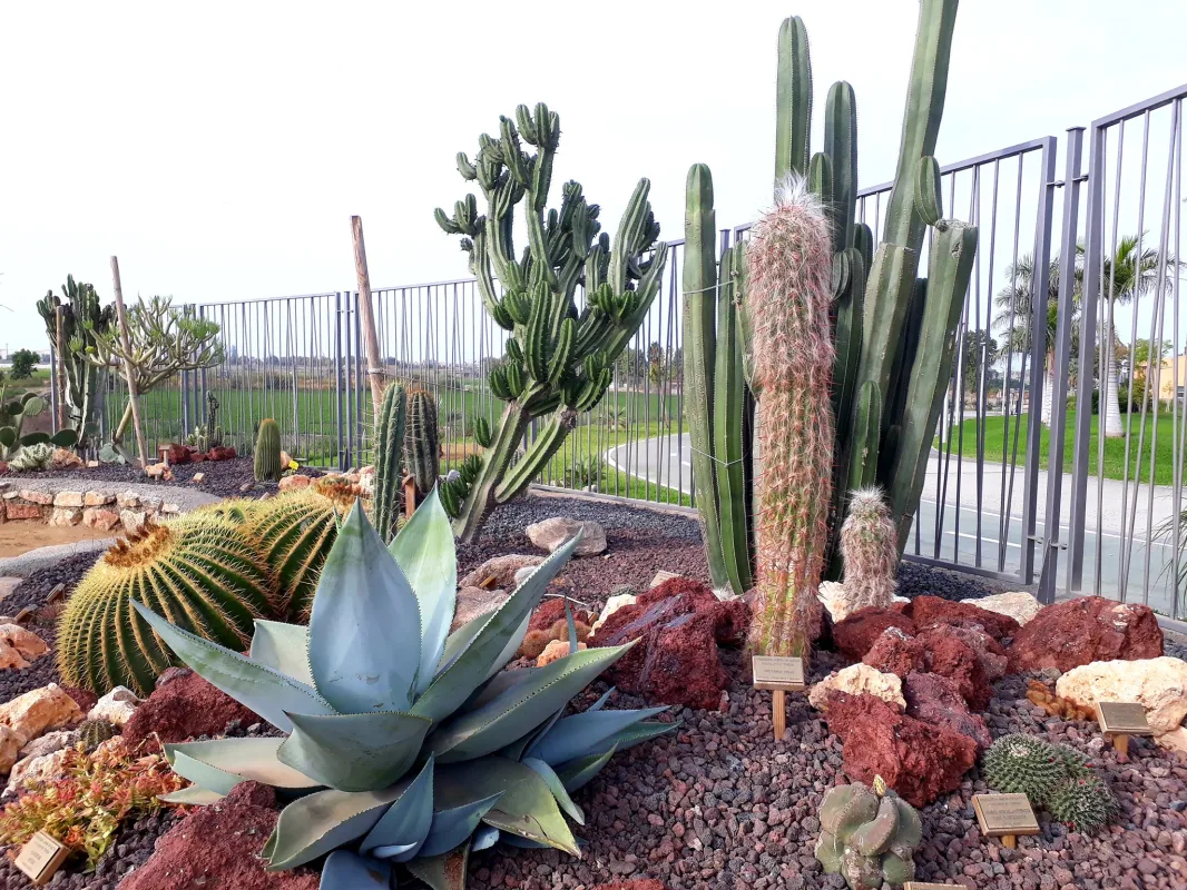 El Jardín de Cactus y Suculentas "Teresa" abre sus puertas los fines de semana - Vida y Cultura - Diario Costa Tropical