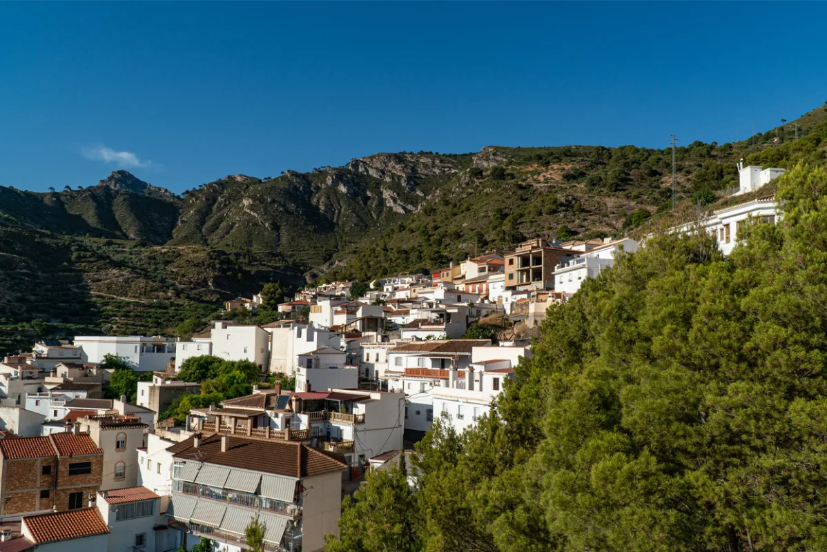 Jete, el paraíso subtropical de la Costa de Granada que debes descubrir - Vivir en la Costa Tropical - Diario Costa Tropical