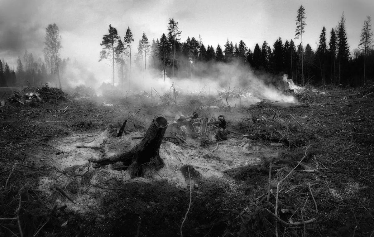 La Junta intensifica su campaña de prevención contra los incendios forestales ante la gravedad estival - Actualidad - Diario Costa Tropical