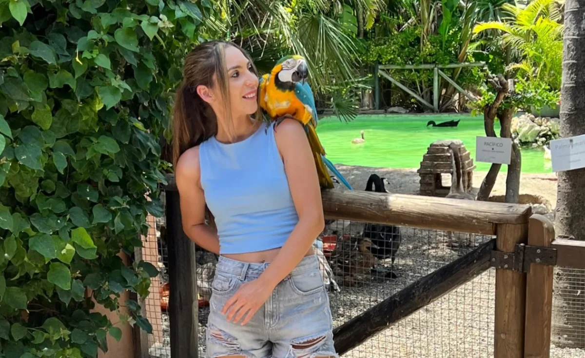 El lorito Lolo se presenta este sábado en Almuñécar - Vida y Cultura - Diario Costa Tropical