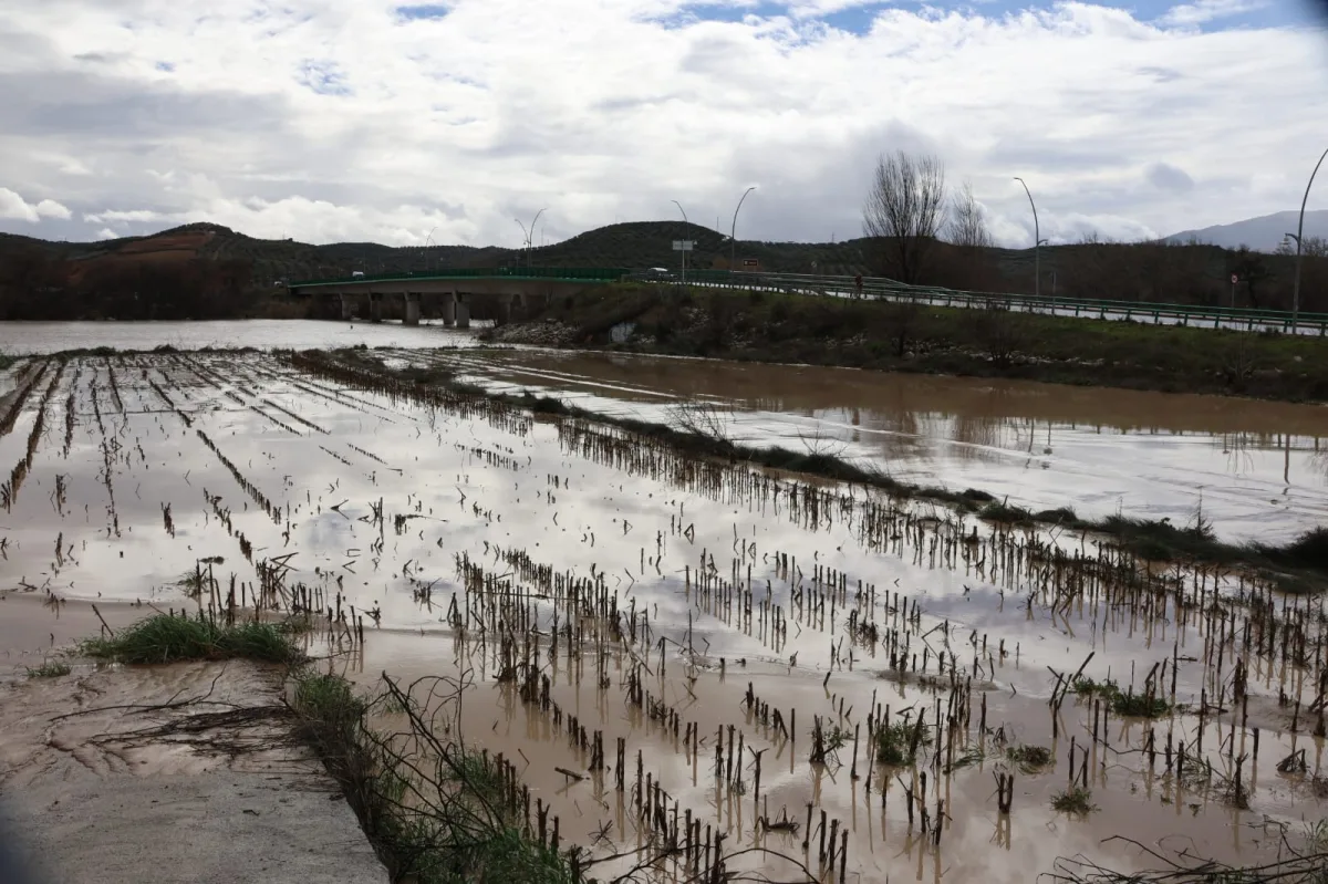 La Subdelegación culmina la tramitación de más de 281 millones en ayudas para 126 entidades locales de Granada por las borrascas